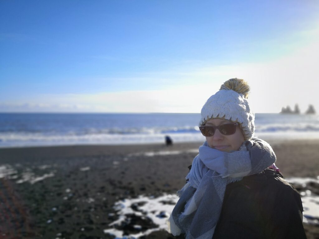 Islande plage de sable noir